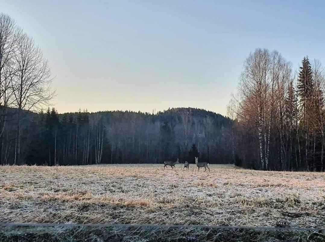 Trevlig Stuga Naera Hovfjaellet Турсбю Экстерьер фото