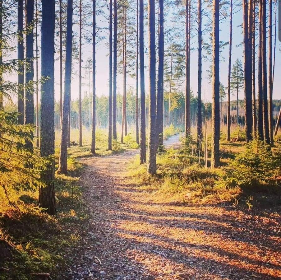 Trevlig Stuga Naera Hovfjaellet Турсбю Экстерьер фото